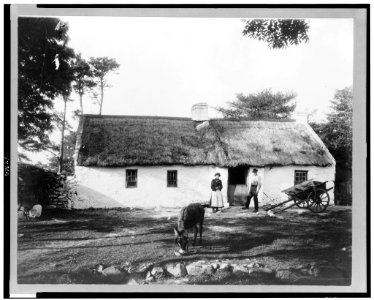 Man, woman, donkey, and wagon, in front of house, Ireland LCCN93504401