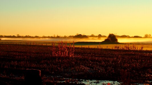 Evening in the free dusk