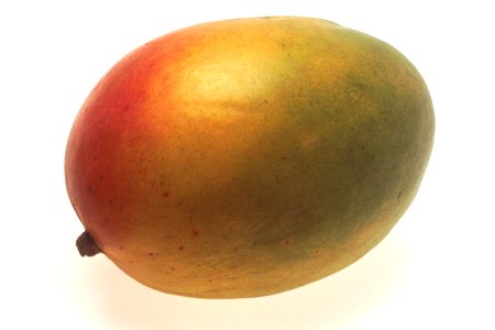 Mango (1) photo