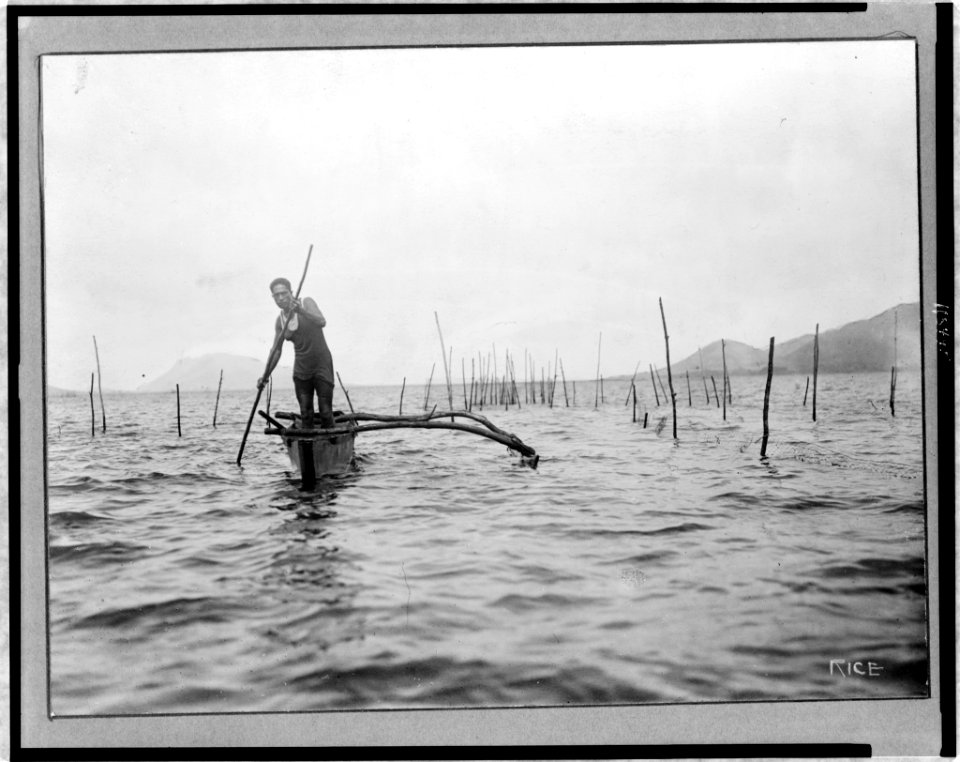 Man standing in boat, over fish trap, Hawaii) - Rice LCCN97505338