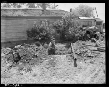 Manuel Alcala, miner, digging cesspool that he is installing at his own expense. He lives in company housing project.... - NARA - 540466