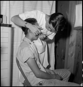 Manzanar Relocation Center, Manzanar, California. Evacuee dentists in the temporary dental clinic, . . . - NARA - 538144