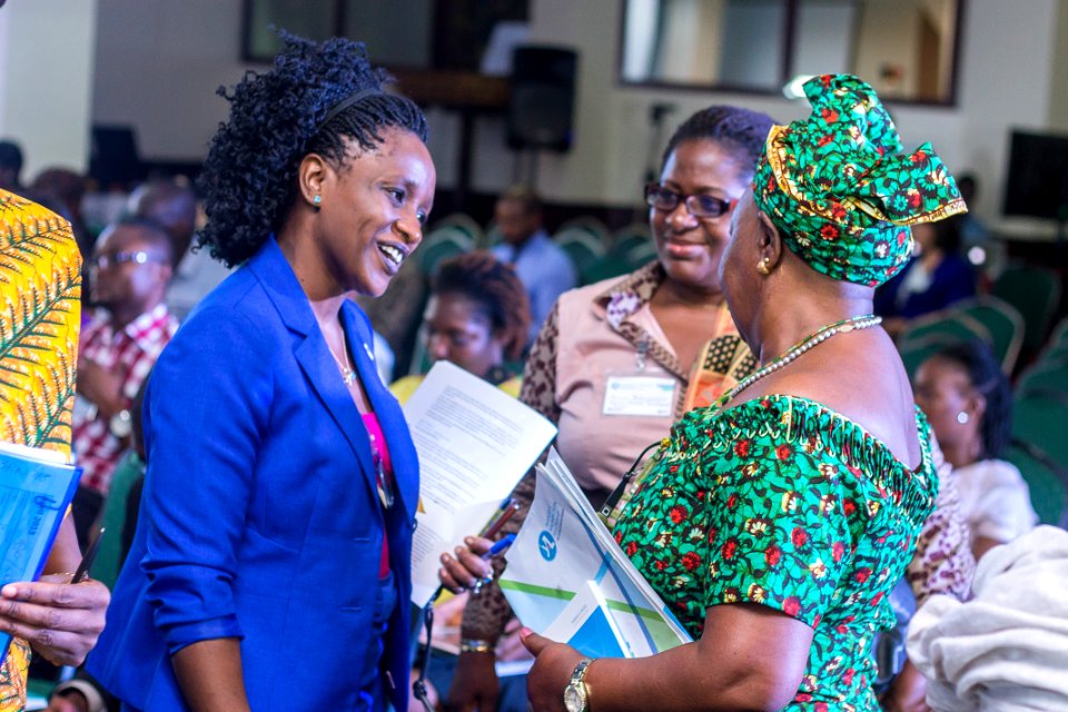 Mandela Washington Fellowship for Young African Leaders Initiative (YALI) 2015 West Africa Regional Conference (17518435003)