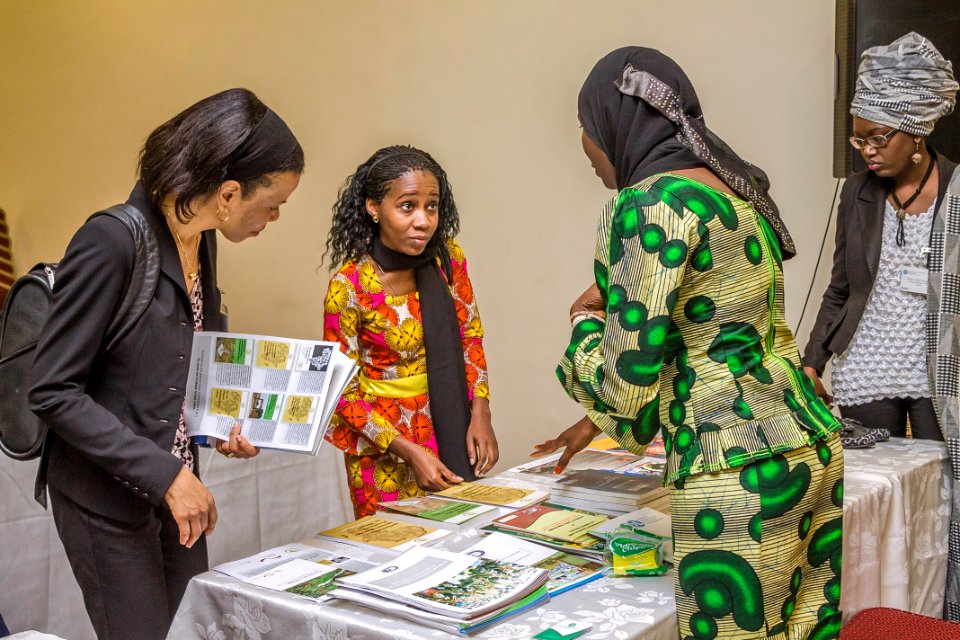 Mandela Washington Fellowship for Young African Leaders Initiative (YALI) 2015 West Africa Regional Conference (18112509326)