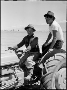 Manzanar Relocation Center, Manzanar, California. H. Kawase, 20 (left), and M. Sakai, 22, operate t . . . - NARA - 538480