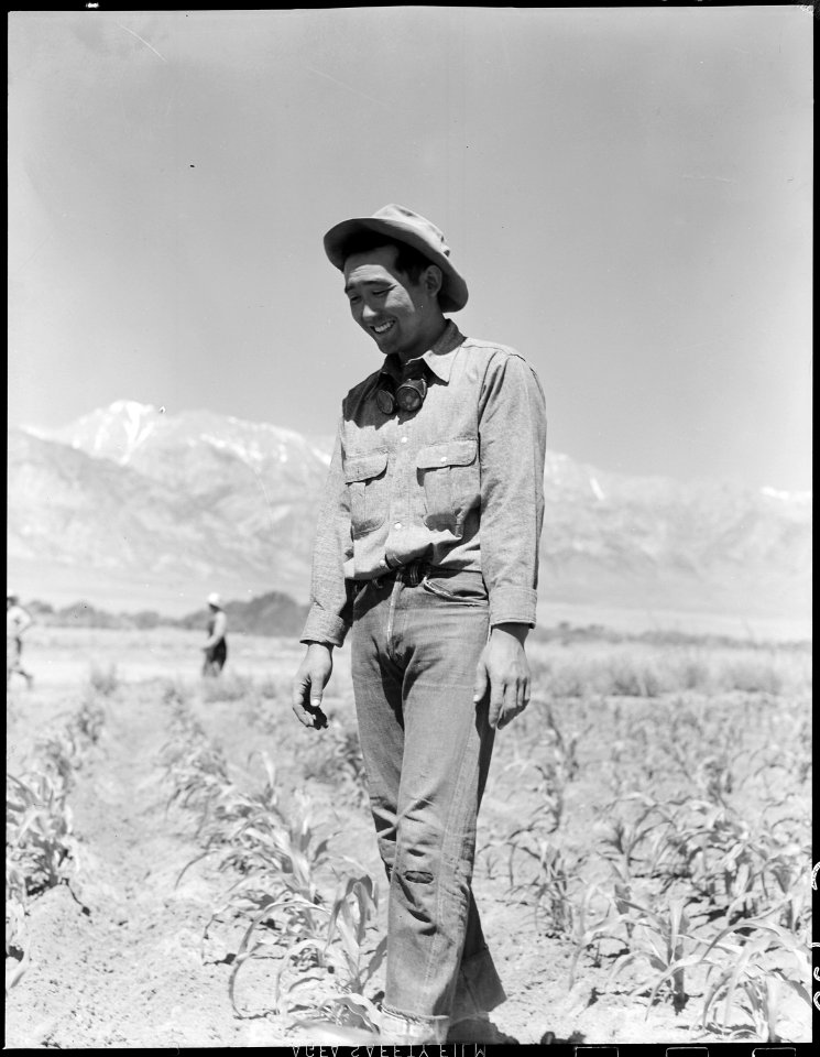 Manzanar Relocation Center, Manzanar, California. Johnny Fukazawa, foreman of fields 3, 4, 5, and 6 . . . - NARA - 538047