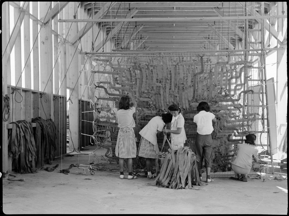 Manzanar Relocation Center, Manzanar, California. Making camouflage nets for the War Department. T . . . - NARA - 538108