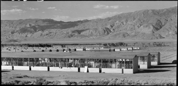 Manzanar Relocation Center, Manzanar, California. Making camouflage nets for the War Department. T . . . - NARA - 538099