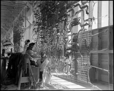 Manzanar Relocation Center, Manzanar, California. Making camouflage nets for the War Department. T . . . - NARA - 538105