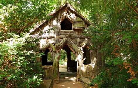 Forest woodhouse nature