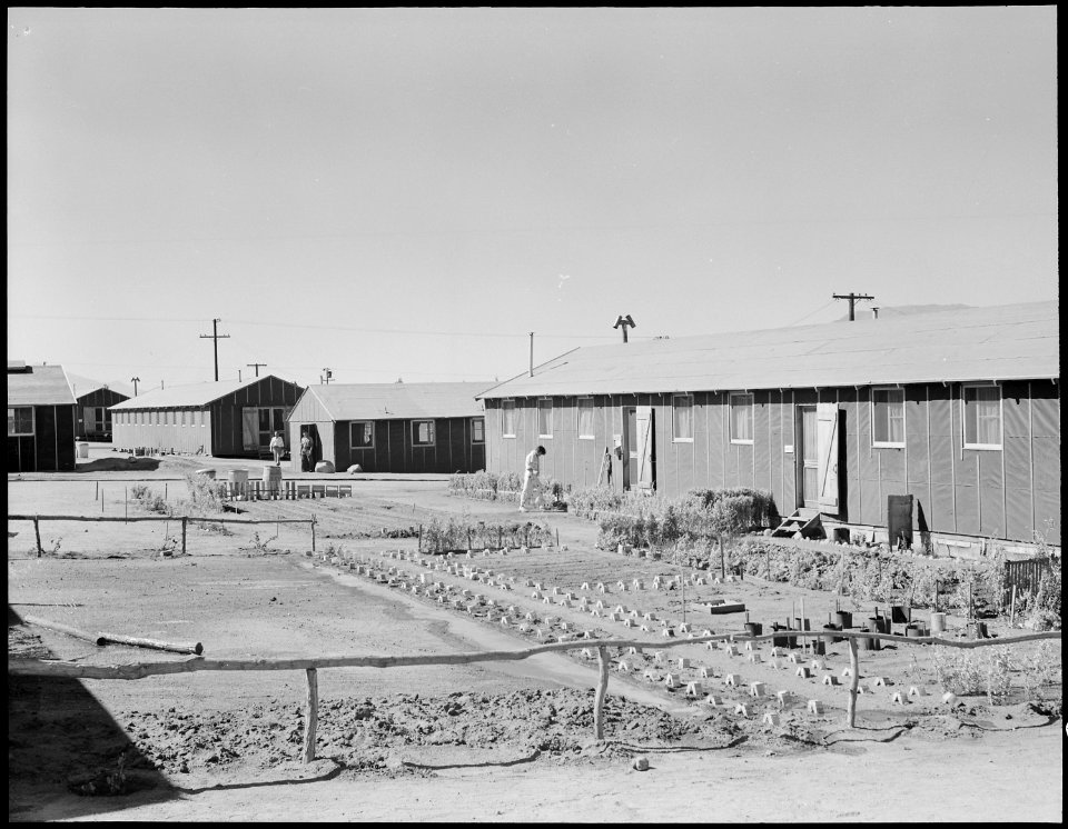 Manzanar Relocation Center, Manzanar, California. There are many evidences of skill and ambition wi . . . - NARA - 538157