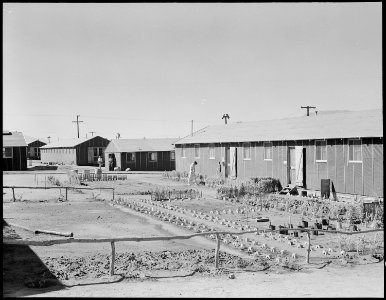 Manzanar Relocation Center, Manzanar, California. There are many evidences of skill and ambition wi . . . - NARA - 538157