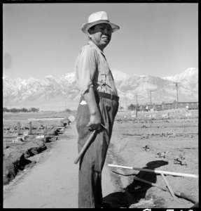 Manzanar Relocation Center, Manzanar, California. This evacuee is forman of the hobby gardens pro . . . - NARA - 538009
