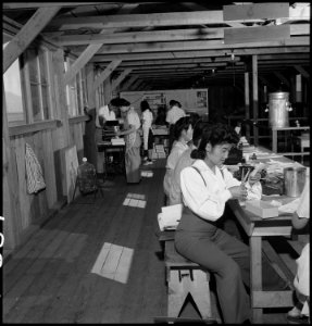 Manzanar Relocation Center, Manzanar, California. Staff of the Manzanar Free Press at work. This i . . . - NARA - 538169