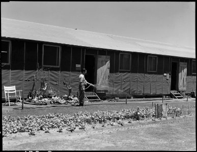 Manzanar Relocation Center, Manzanar, California. A barrack home at this War Relocation Authority c . . . - NARA - 538156