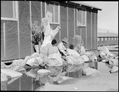 Manzanar Relocation Center, Manzanar, California. William Katsuki, former professional landscape ga . . . - NARA - 538152