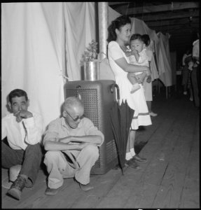 Manzanar Relocation Center, Manzanar, California. A typical interior scene in one of the barrack ap . . . - NARA - 538136