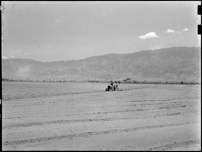 Manzanar Relocation Center, Manzanar, California. These evacuees of Japanese descent operate tracto . . . - NARA - 538477 photo