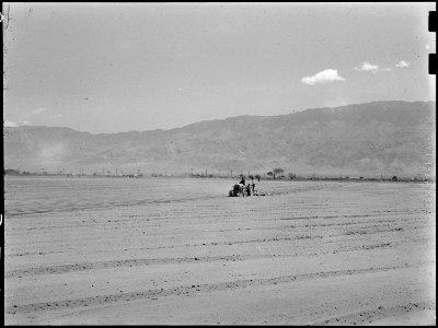 Manzanar Relocation Center, Manzanar, California. These evacuees of Japanese descent operate tracto . . . - NARA - 538477