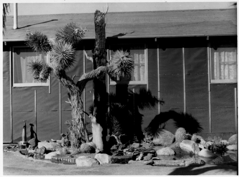 Manzanar Relocation Center, Manzanar, California. William Katsuki, former professional landscape ga . . . - NARA - 538153