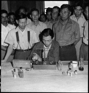 Manzanar Relocation Center, Manzanar, California. Chemists, nurserymen, and plant propagators at th . . . - NARA - 538037