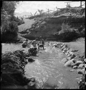 Manzanar Relocation Center, Manzanar, California. Evacuee children enjoying a hot summer afternoon . . . - NARA - 538081
