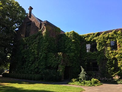 University portland or