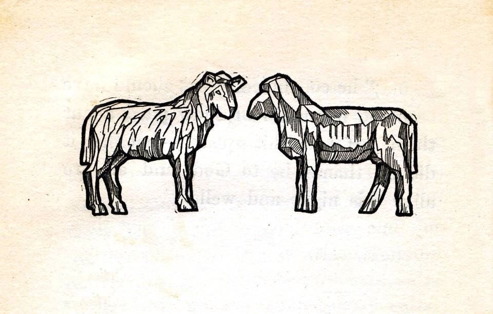 Margaret Warner Morley Donkey John 8