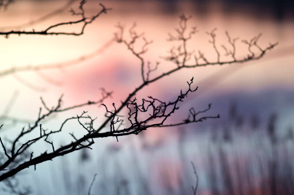 Sunset weather scotland