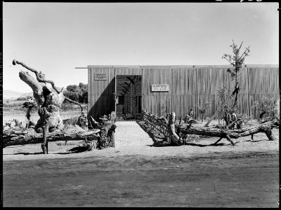 Manzanar Relocation Center, Manzanar, California. A view of section of the lath house at this War R . . . - NARA - 538027