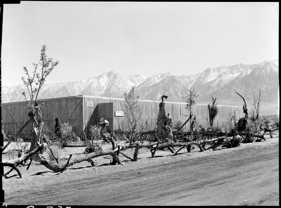 Manzanar Relocation Center, Manzanar, California. Exterior view of the lath house of guyaule rubber . . . - NARA - 538026