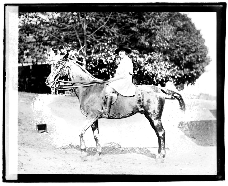 Margot Fiske LOC npcc.02653