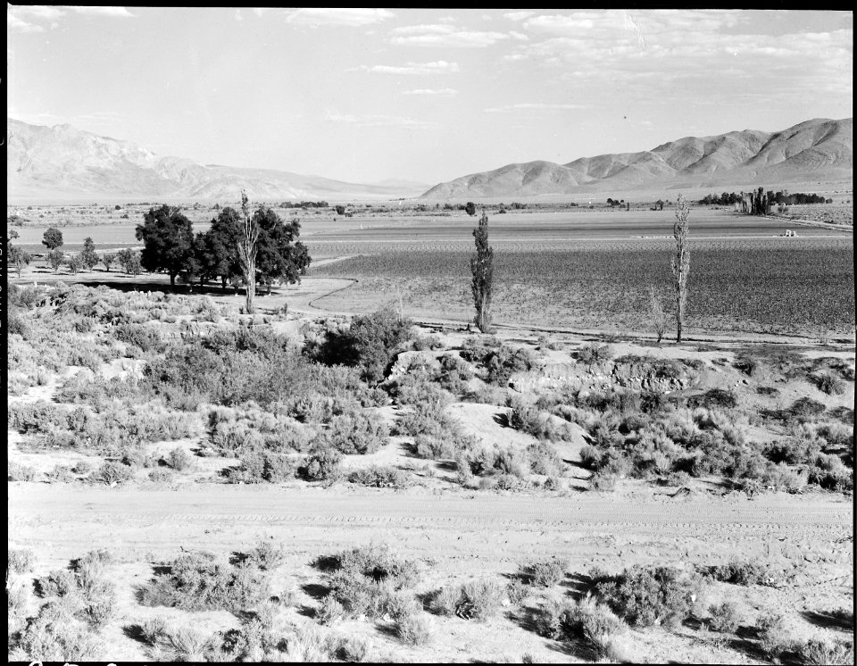 Manzanar Relocation Center, Manzanar, California. Looking down Inyo Valley toward Lone Pine from th . . . - NARA - 538042