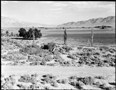 Manzanar Relocation Center, Manzanar, California. Looking down Inyo Valley toward Lone Pine from th . . . - NARA - 538042 photo