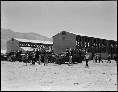 Manzanar Relocation Center, Manzanar, California. Making camouflage nets for the War Department. T . . . - NARA - 538103 photo
