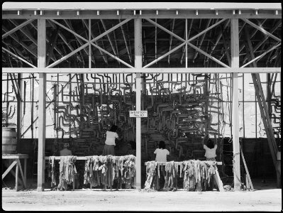 Manzanar Relocation Center, Manzanar, California. Making camouflage nets for the War Department. T . . . - NARA - 538109 photo