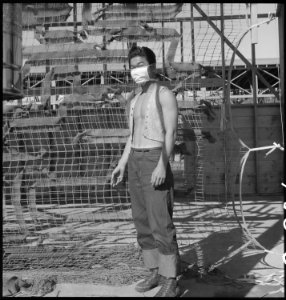 Manzanar Relocation Center, Manzanar, California. Making camouflage nets for the War Department. T . . . - NARA - 538117 photo