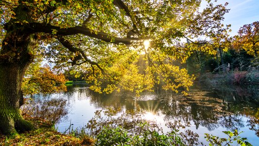Radiance reflections yorkshire