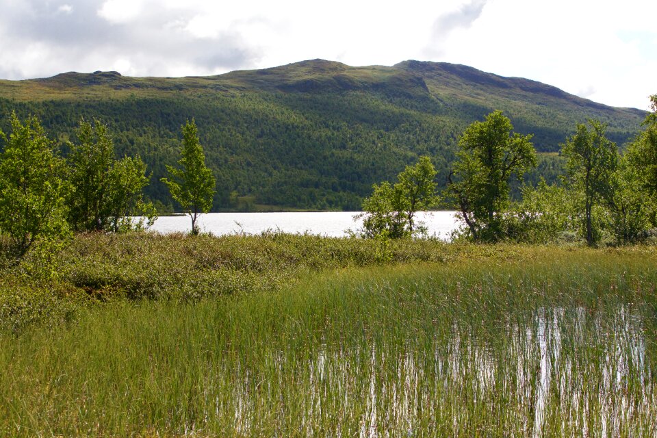 Nature lake landscape