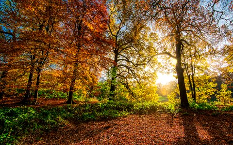 Sunshine radiance yorkshire photo