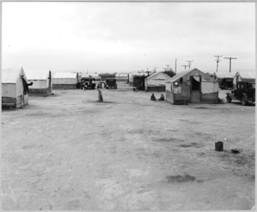 Maricopa County, near Litchfield, Arizona. Vosberg Ranch, grower's camp for hop pickers. - NARA - 522259