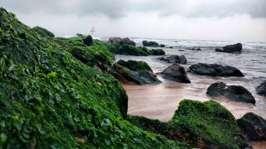 Green clouds water