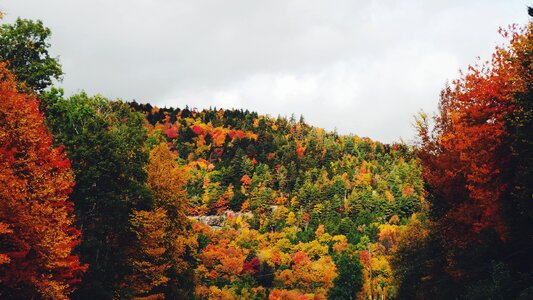 Mountain landscape fall photo