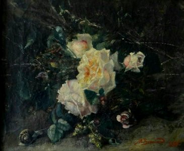 Marie Bermond Roses 1885