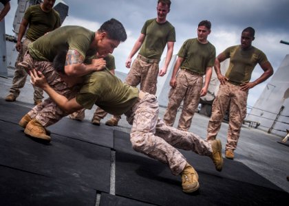 Marine Corps Martial Arts Program (27659678060)