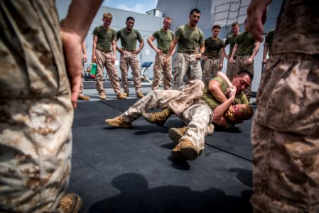 Marine Corps Martial Arts Program (27836878052)