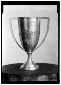 MARINE CORPS, U.S.N. THE FRANKLIN WHARTON CUP FOR EXCELLENCE IN RIFLE PRACTICE LCCN2016869546
