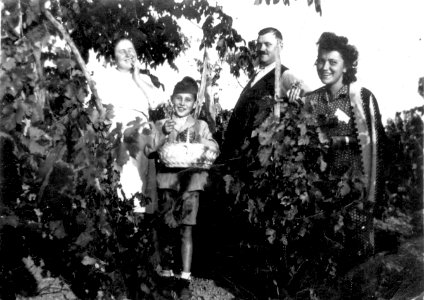 Maria Popiţiu & Ioan Ciobanca at the family vineyard
