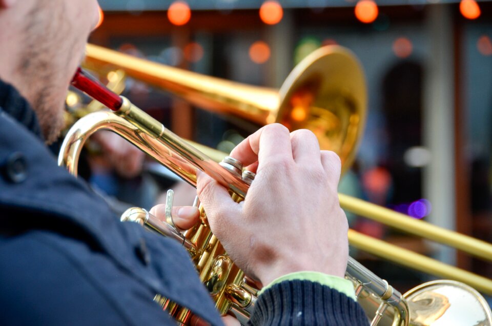 Musical instrument instrument musician