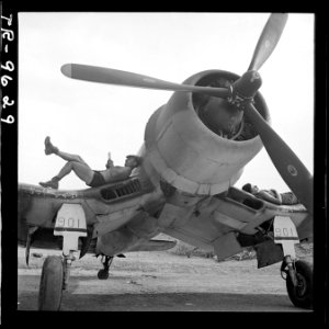 Marines of VMF-222 on Bougainville relaxing in between strikes. - NARA - 520913